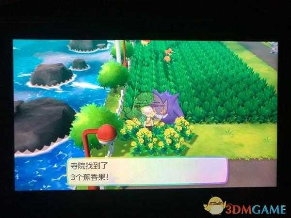 《精灵宝可梦LetsGo皮卡丘伊布》17号道路全浆果位置指南