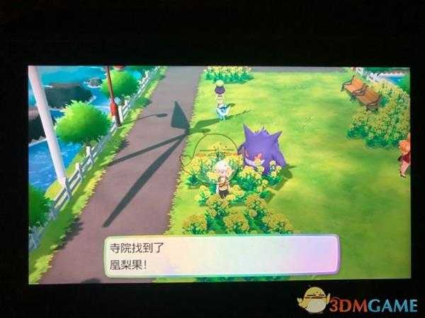 《精灵宝可梦LetsGo皮卡丘伊布》17号道路全浆果位置指南