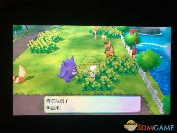 《精灵宝可梦LetsGo皮卡丘伊布》17号道路全浆果位置指南