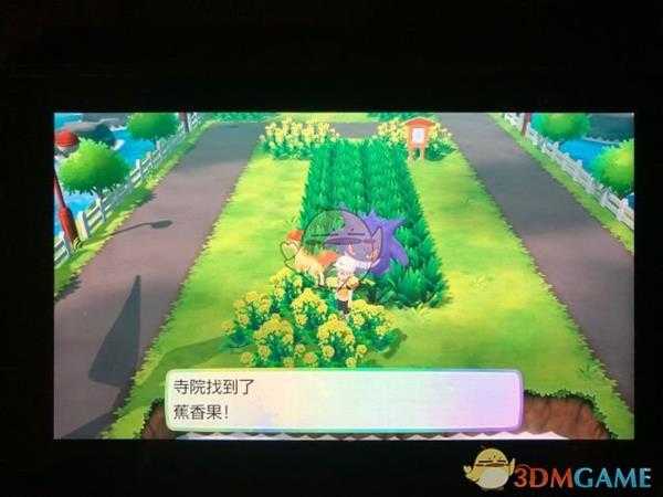 《精灵宝可梦LetsGo皮卡丘伊布》17号道路全浆果位置指南