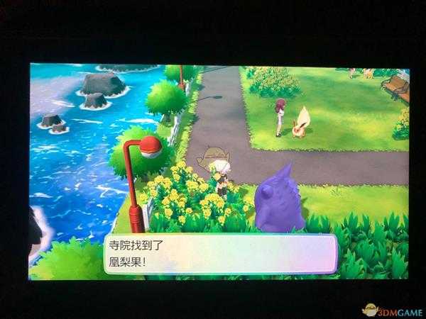 《精灵宝可梦LetsGo皮卡丘伊布》全隐藏道具位置一览