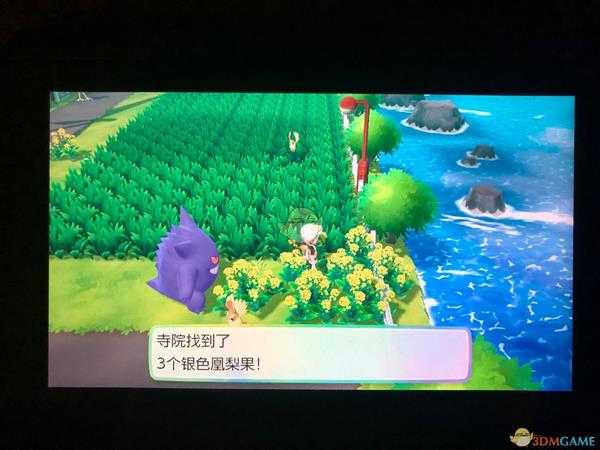 《精灵宝可梦LetsGo皮卡丘伊布》全隐藏道具位置一览