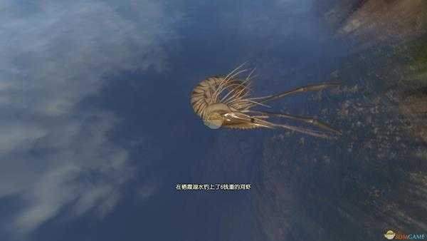 《古剑奇谭3》栖霞钓鱼点可钓鱼种类一览