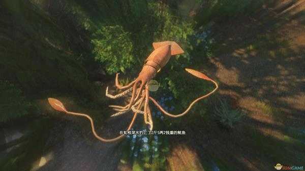 《古剑奇谭3》魔界鄢陵钓鱼点可钓鱼种类一览