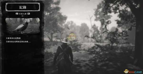 《荒野大镖客2》卡莱罗那长尾鹦鹉刷新位置及背景故事一览