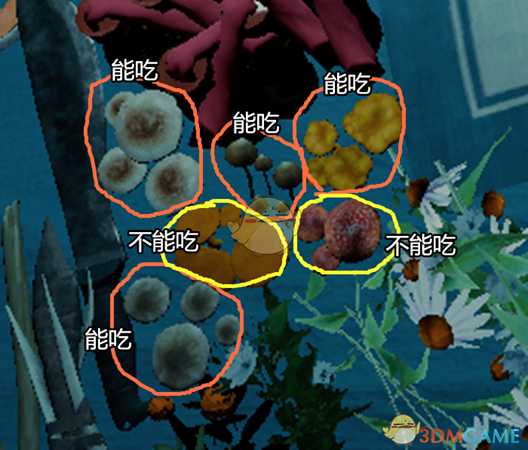 《森林》迷失森林生存指南之——如何获得食物