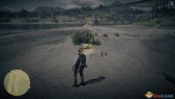 《荒野大镖客2》线上模式寻找藏宝图宝藏攻略