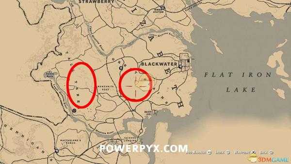 《荒野大镖客2》马术大师需要驯服的野马位置一览