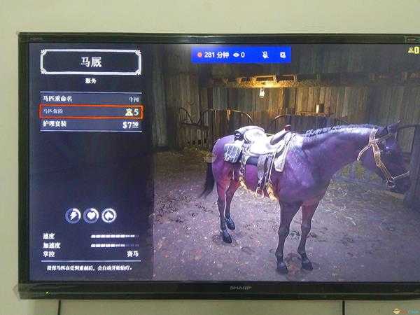 《荒野大镖客2》线上模式无消耗剥3星动物皮毛地点