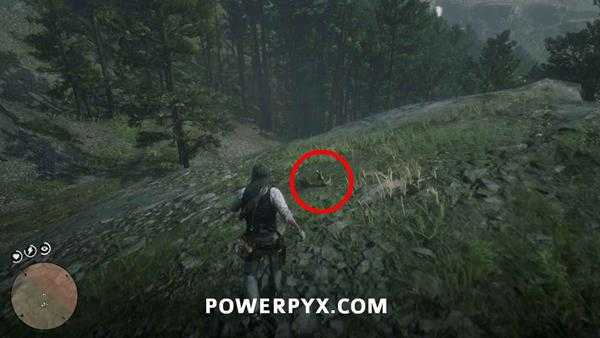 《荒野大镖客2》恐龙骨头全收集 恐龙化石全收集攻略分享