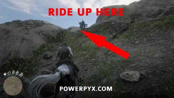 《荒野大镖客2》恐龙骨头全收集 恐龙化石全收集攻略分享