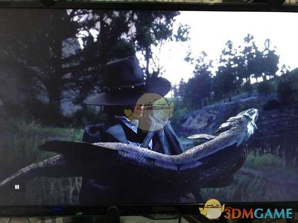 《荒野大镖客2》线上模式用马车钓狗鱼刷钱技巧指南