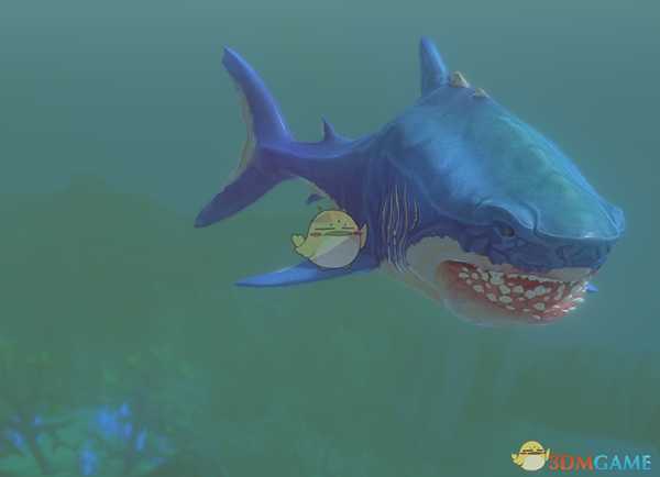 《海底大猎杀》全鱼类图鉴一览