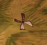 《饥荒》哈姆雷特新加工具有什么_哈姆雷特新加工具介绍