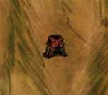 《饥荒》哈姆雷特新加工具有什么_哈姆雷特新加工具介绍