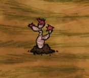 《饥荒》哈姆雷特新加工具有什么_哈姆雷特新加工具介绍