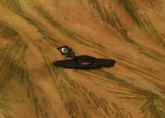 《饥荒》哈姆雷特新加工具有什么_哈姆雷特新加工具介绍