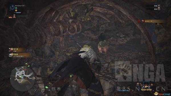 《怪物猎人：世界》粗毛秧鸡抓捕心得分享