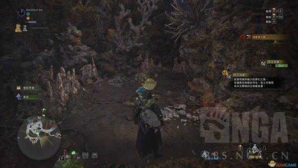 《怪物猎人：世界》粗毛秧鸡抓捕心得分享