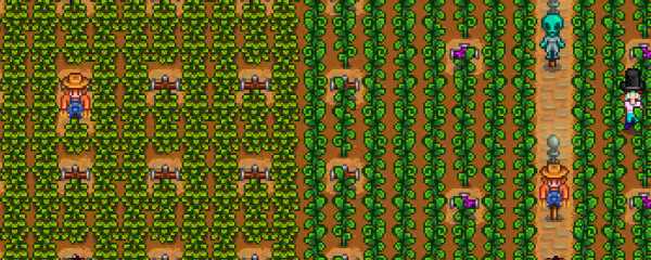 星露谷物语稻草人怎么布局