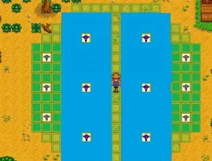 星露谷物语稻草人怎么布局