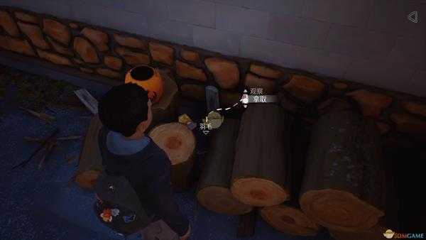 《奇异人生2》全成就指南