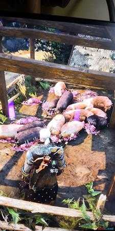 《巫师3:狂猎》前期刷钱方法推荐