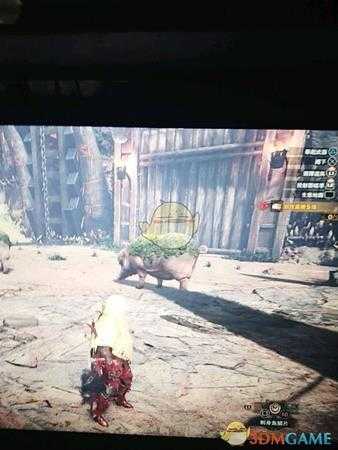 《怪物猎人：世界》新年活动历战菌猪任务指南