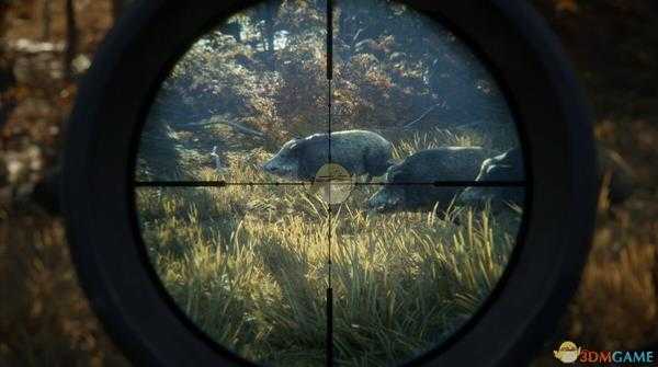 《猎人：荒野的呼唤》动物发出警告叫声怎么办？动物发出警告叫声应对方法指南