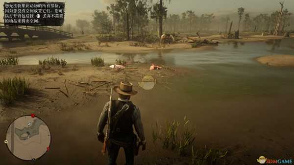 《荒野大镖客2》出完美皮毛心得分享