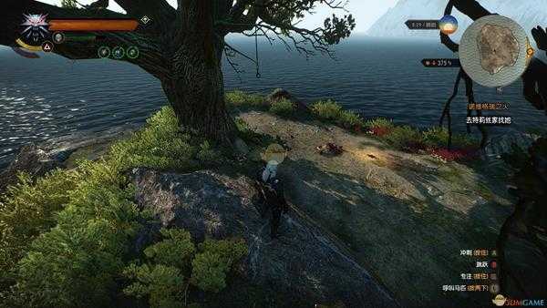 《巫师3:狂猎》来自好远好远的地方隐藏任务攻略分享