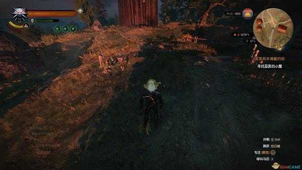 《巫师3：狂猎》愚人金任务攻略分享