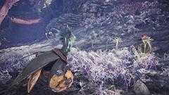 《怪物猎人：世界》星辰祭【感谢之宴】2月活动一览