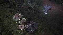 《怪物猎人：世界》星辰祭【感谢之宴】2月活动一览