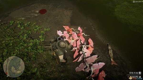 《荒野大镖客2》速刷30只玫瑰琵鹭技巧指南