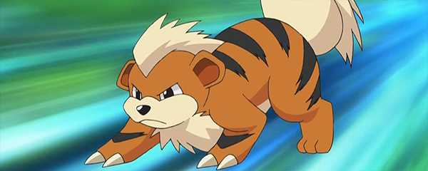 卡蒂狗几级进化