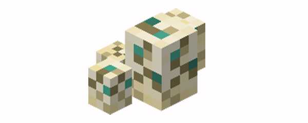 我的世界海龟蛋怎么孵化