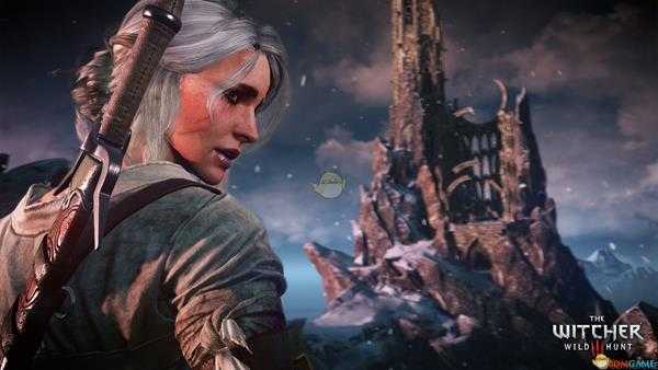《巫师3:狂猎》石之心神偷套装代码分享