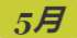 《动物森友会》吉丁虫图鉴