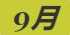 《动物森友会》寄居蟹图鉴