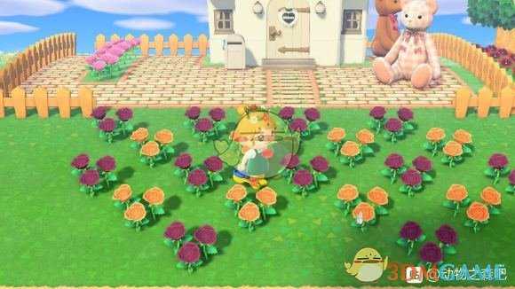 《集合啦!动物森友会》蓝玫瑰种植心得分享
