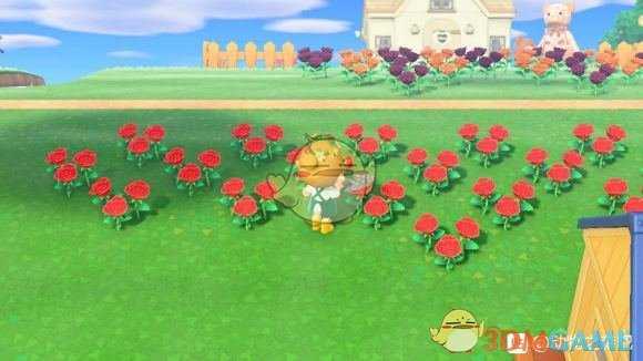 《集合啦!动物森友会》蓝玫瑰种植心得分享