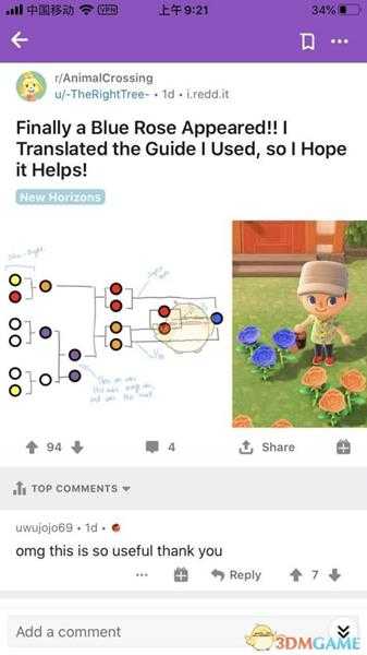 《集合啦!动物森友会》蓝玫瑰种植心得分享