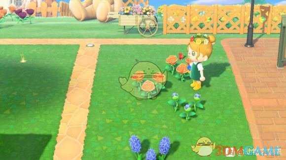 《集合啦!动物森友会》蓝玫瑰种植心得分享