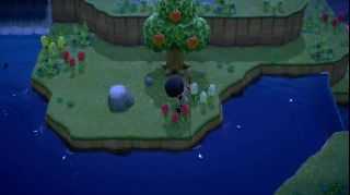 《集合啦!动物森友会》全素材岛参考资料分享