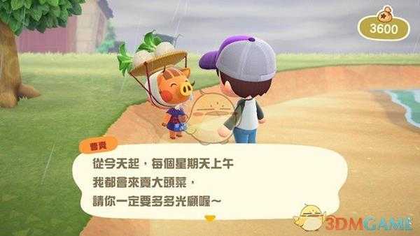 《集合啦!动物森友会》大头菜在哪 大头菜商人位置