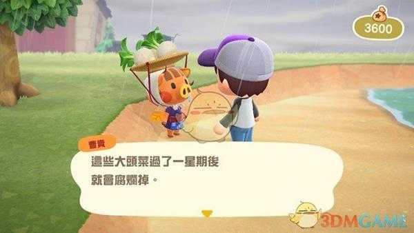 《集合啦!动物森友会》大头菜在哪 大头菜商人位置