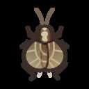 《集合啦！动物森友会》铃虫图鉴