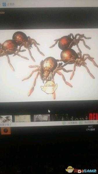 《生化危机3：重制版》婴儿蜘蛛图鉴 信息设定一览