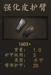 《骑马与砍杀2》斯特吉亚资深战士装备一览 实战强度分析